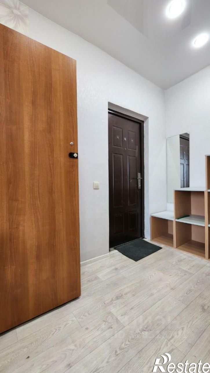 1-комн квартира ул Добролюбова, 19,  д. 19
