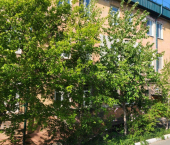 комната 25 кв м ул Горького, 19